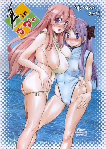 (C72) [Hi-PER PINCH (clover)] Natsu in Summer (Lucky Star)(korean) manga cover