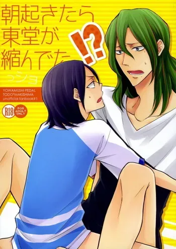 Asa Okitara Tdoudou ga Chijindeta sho | When I woke up this morning Todo had shrunk sho manga cover