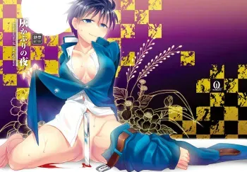 【新刊その３】月姫・メルブラ manga cover