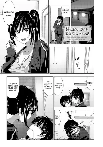 Imouto no Oppai ga Marudashi Datta Hanashi 3.5 manga cover