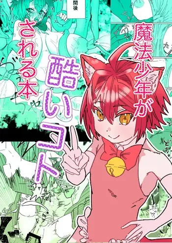 [胃須の研究所] 魔法少年が酷いコトされる本 manga cover