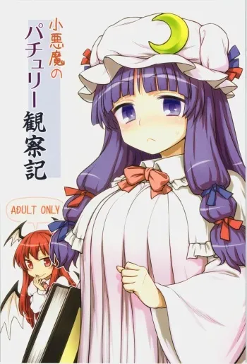 (C88) [110-GROOVE (Itou Yuuji)] Koakuma no Patchouli Kansatsuki (Touhou Project) manga cover