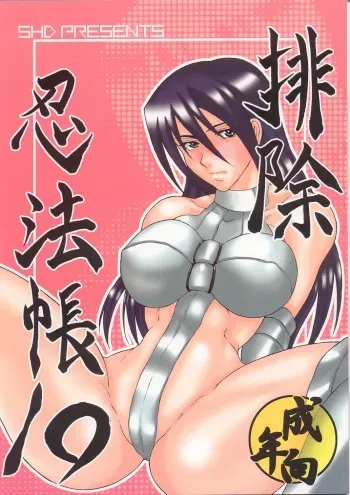 (C63) [SHD (Buchou Chinke, Hiromi)] HAIJO NINPOUCHO 10 (Rage of the Dragons) manga cover