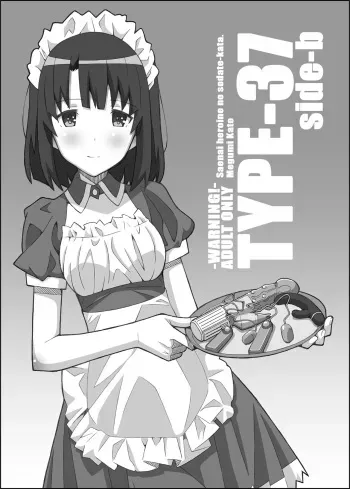 [TYPE-57 (Frunbell)] TYPE-37 side-b (Saenai Heroine no Sodatekata) [English] [Digital] manga cover