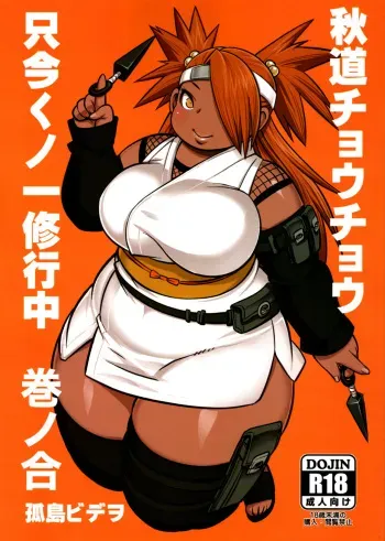 Akimichi Chocho Tadaima Kunoichi Shugyochu Maki no Awase manga cover