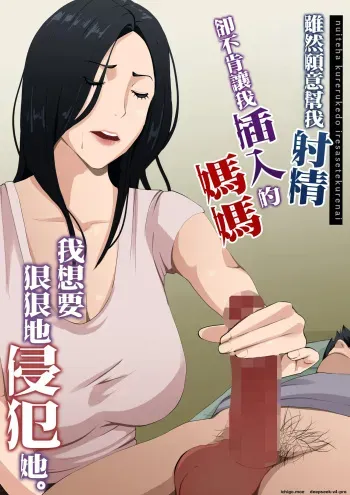 Nuite Kureru kedo Iresasete Kurenai kaasan wo Mechakucha ni Okashite Mitai manga cover