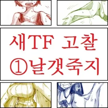 [Koganemushi] Tori TF ni Kansuru Kousatsu to Renshuu | Study and practice about bird TF [Korean] manga cover