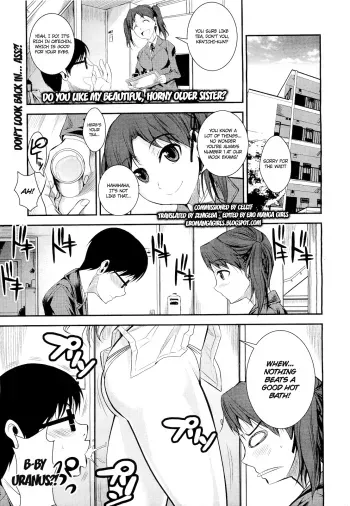 Kirei de Yarashii Oneesan wa, Suki Desuka? | Do You Like My Beautiful, Horny Older Sister? manga cover