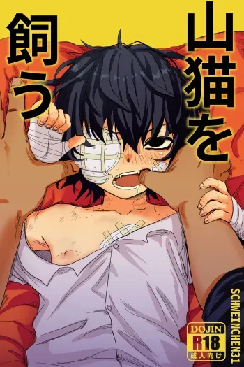 [Schweinchen 31] yamaneko o kau [DLsite] manga cover