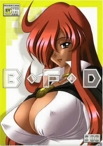(C73) [Bousou!! Fuhatsudan (Takai Biki)] B.F.D 06 (Zero no Tsukaima) manga cover