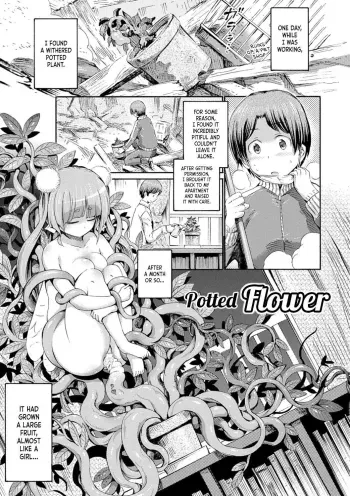 Hachi no Ue no Flower | Potted Flower manga cover