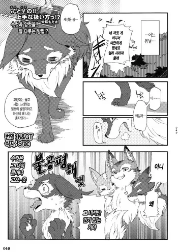 (Fur-st 3) [Kemoners Furest (Inumimi Moeta)] Mesu to Osu no!! Jouzu na Atsukaikata!? (Yotu Ashi 2) [Korean] [N&GT] manga cover