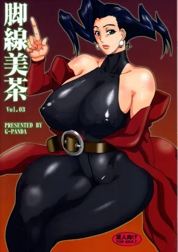 (SC40) [G-Panda (Midoh Tsukasa)] Kyakusenbi Cha Vol. 03 (Street Fighter) manga cover