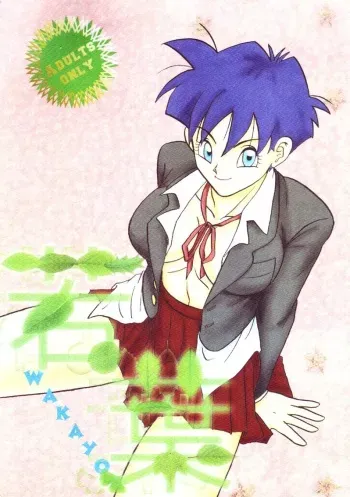 [Shouji Haruzo] Dragon Ball Z - Wakayo manga cover