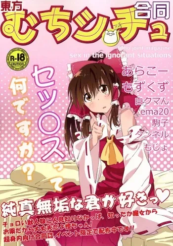 (Reitaisai 12) [border rim (Various)] Touhou Muchi Shichu Goudou - Toho joint magazine sex in the ignorant situations (Touhou Project) manga cover
