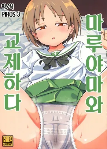 (C90) [D-baird (BeNantoka)] Maruyama-san to Tsukiau | 마루야마와 교제하다 (Girls und Panzer) [Korean] [PIROS 3] manga cover