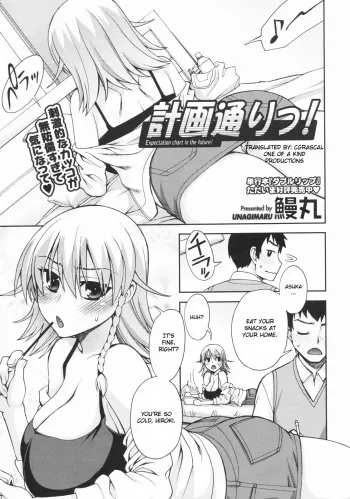 Keikaku Doori!! manga cover