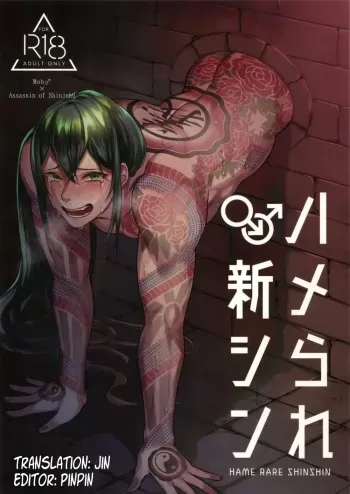 HAME RARE SHINSHIN manga cover
