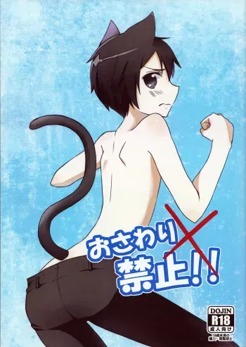 (C88) [Cari★ui (Akatsuki Tokito)] Osawari Kinshi!! (Sword Art Online) manga cover