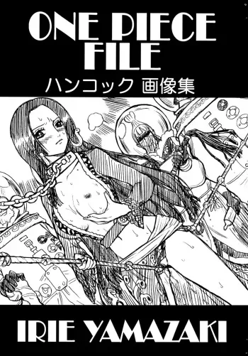 ONE PIECE FILE Hancock Gazoushuu manga cover