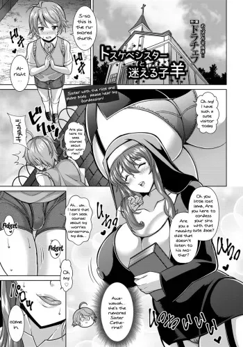 the-lewd-sister-and-the-lost-lamb manga cover