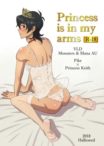 Princess is in My Arms manga cover
