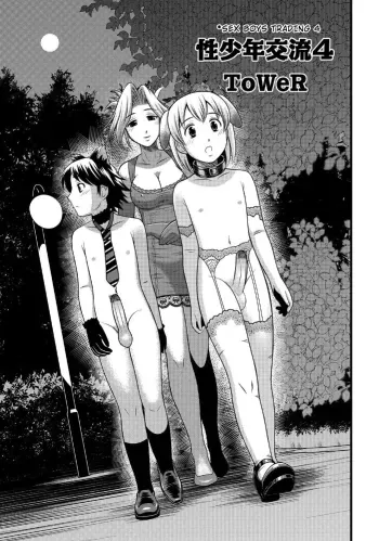 Sei Shounen Kouryuu 4-5 manga cover
