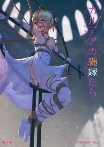 (C95) [Nawairo Sonata (Himitsu)] Chaldea no Nawa Yome-Tachi (Fate/Grand Order) manga cover