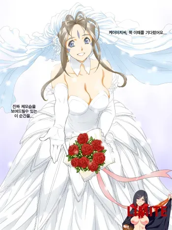 (C86) [JoyDivision (jd)] Engage (Ah! My Goddess) [Korean] {LIMITE} manga cover