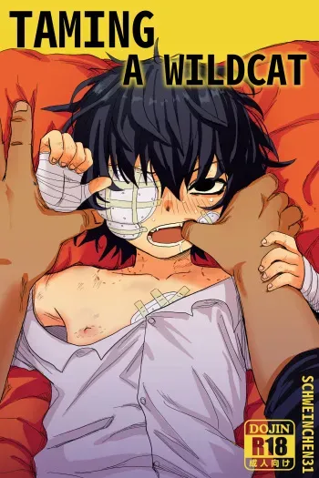 Taming A Wildcat manga cover