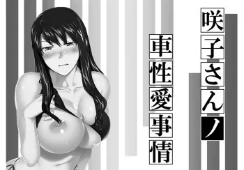 Sakiko-san in delusion Vol.14 ~Sakiko-san's car sex circumstance ~ (collage) manga cover