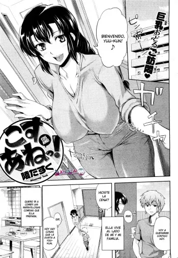 [Misasagi Task] Cos Ane! [Spanish] [XHentai95] manga cover