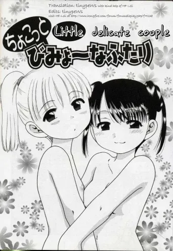 Little Delicate Couple manga cover