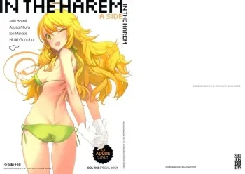 IN THE HAREM A SIDE manga cover