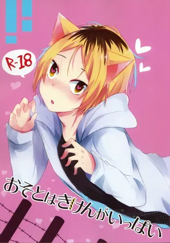 (RTS!!5) [Kakuu Otome (Amene Hayabusa)] Osoto wa Kiken ga Ippai (Haikyuu!!) manga cover