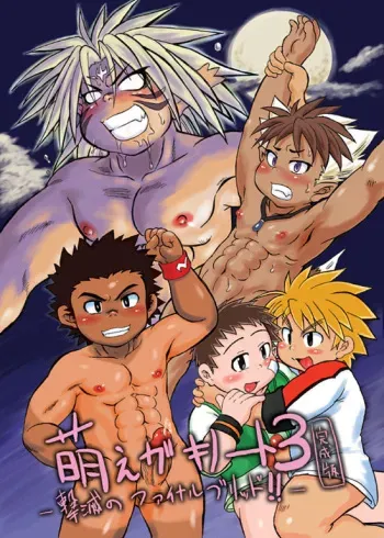 [Nibiiro no Sora (Mukaunosato Isuke)] Moegaki Note 3 -Gekimetsu no Final Brid!!- [Digital] manga cover
