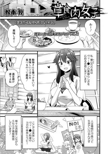 [Matsumoto Kei] Vegetarian Meatgirl (COMIC Necrosis Vol. 11) manga cover