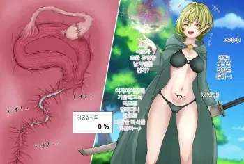 [Gura] Kiseichuu ni Maryoku o Ubawareru Elf Mahoutsukai | 기생충에게 마력을 빼앗기는 엘프 마법사 [Korean] manga cover