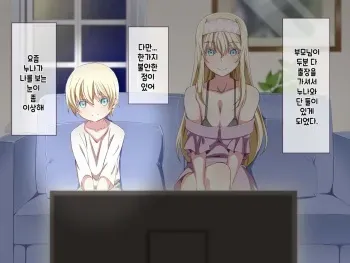 [Awamikuya (Awamiku)] Tonikaku Otouto to Issen o Koetakatta Onee-chan no Hanashi [Korean] manga cover