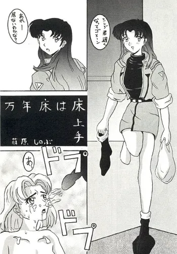 (C49) [Ayashige Dan (Various) Jinrui Hokan Keikaku 2 (Neon Genesis Evangelion) [Incomplete] manga cover