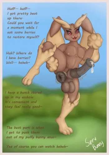 [ServBunny] Lopunny's loose anal antics (Prolapse) manga cover