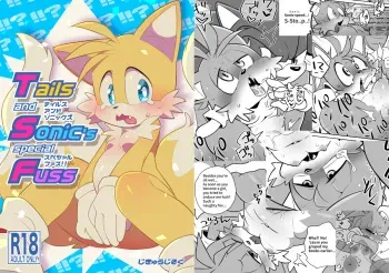 Tails and Sonic's special Fuss sample manga cover