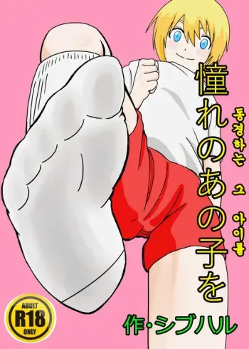 [Shivharu] Akogare no Anoko o [Korean] manga cover
