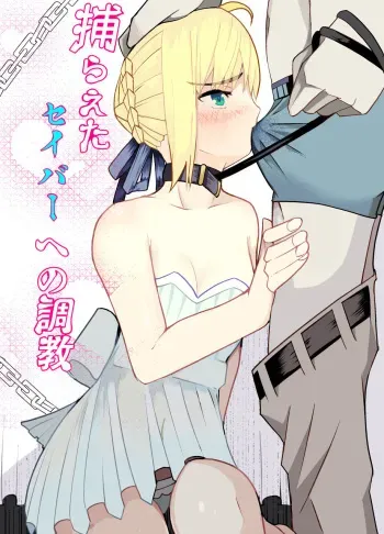 [ooooo (Mucukiva)] Toraeta Saber e no Choukyou (Fate/stay night) manga cover