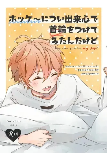 [negiponzu (okaki)] ホッケ〜につい出来心で首輪をつけてみたんだけど (Ensemble Stars!) [Digital] manga cover