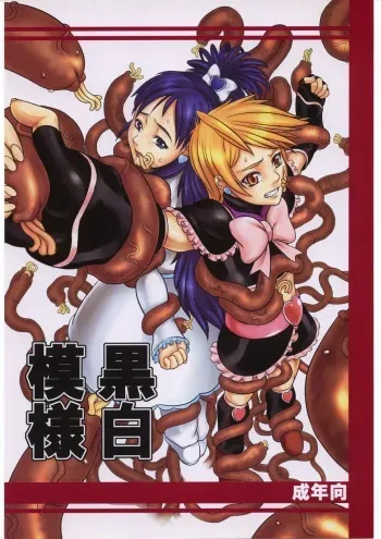 (SC28) [Kigeki Banzai (Suzuhara Kouki)] Kuroshiro Moyou (Futari wa Precure) manga cover
