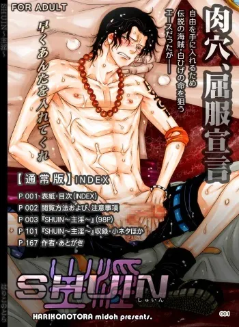[Hariko no Tora (Midoh Torako)] SHUIN (One Piece) [Digital] manga cover