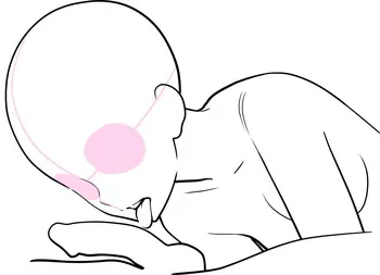 Lewd Mouth: New Explanations & Pose Collection (Traceable) manga cover