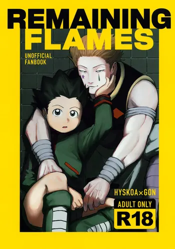 (Re:HUNTER 11) [COMPOTE (Himisuya)] REMAINING FLAMES (Hunter x Hunter) [English] {Chin²} manga cover