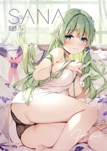 [Nanairo Otogizoushi (Miyase Mahiro)] SANA-Recollection (Touhou Project) [Digital] manga cover